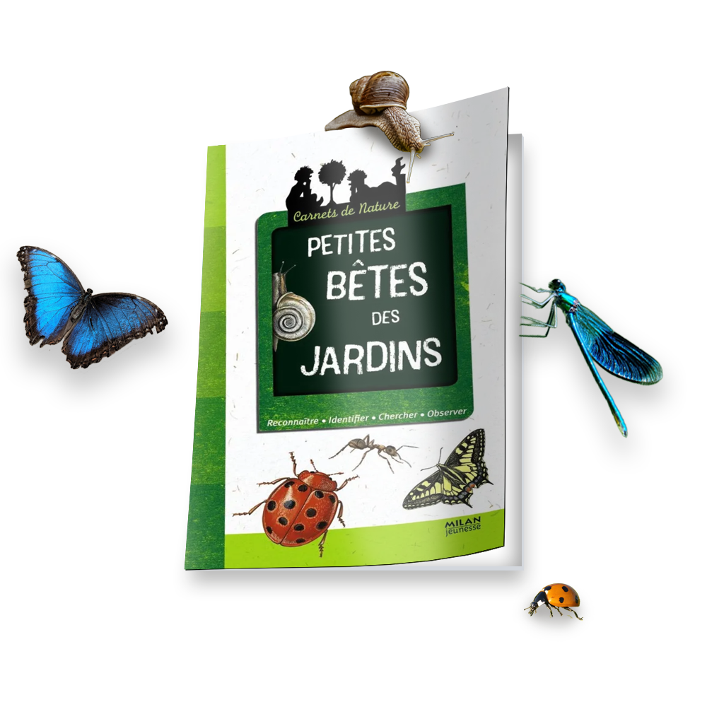 Carnet Nature Petites bêtes des jardins.